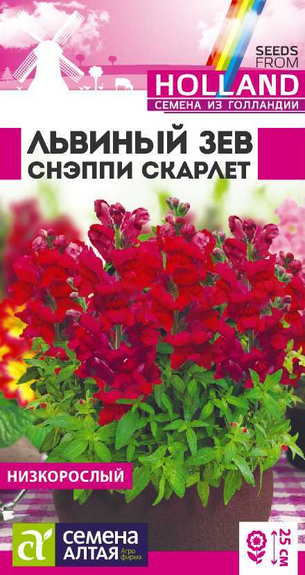 Снэпп скарлет