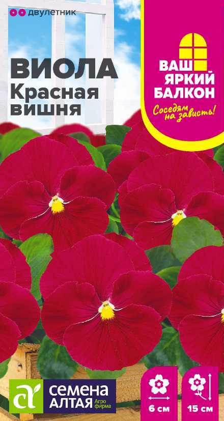 Виола Красная вишня