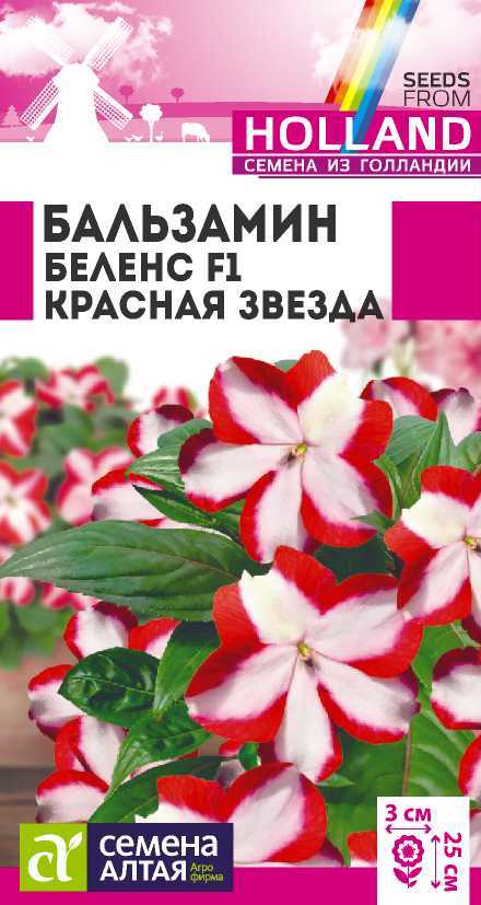 Бальзамин беленс красная звезда