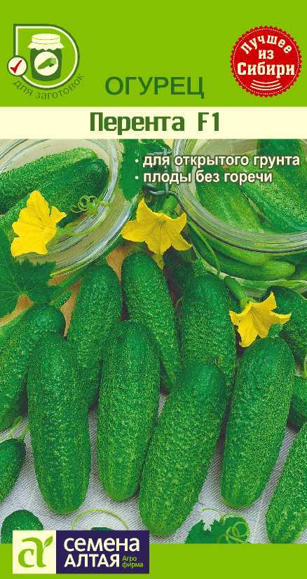Перента цп
