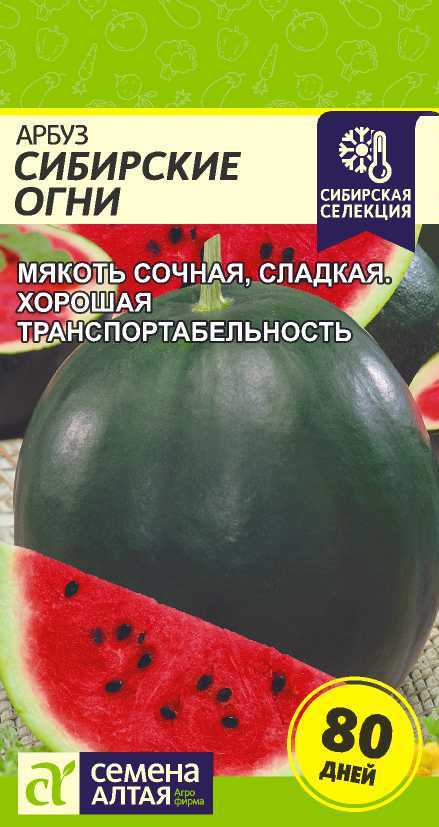 00-00025668