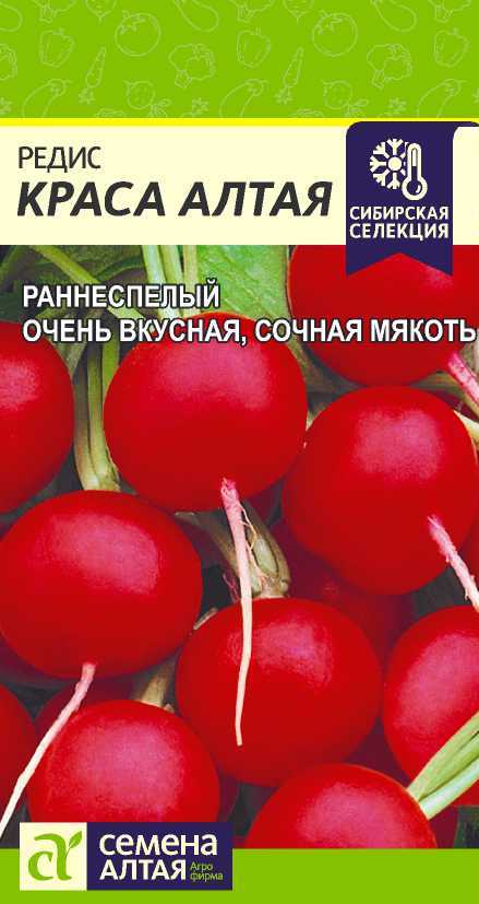 Краса Алтая