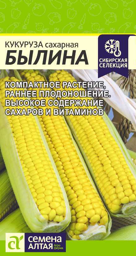 Кукуруза Былина