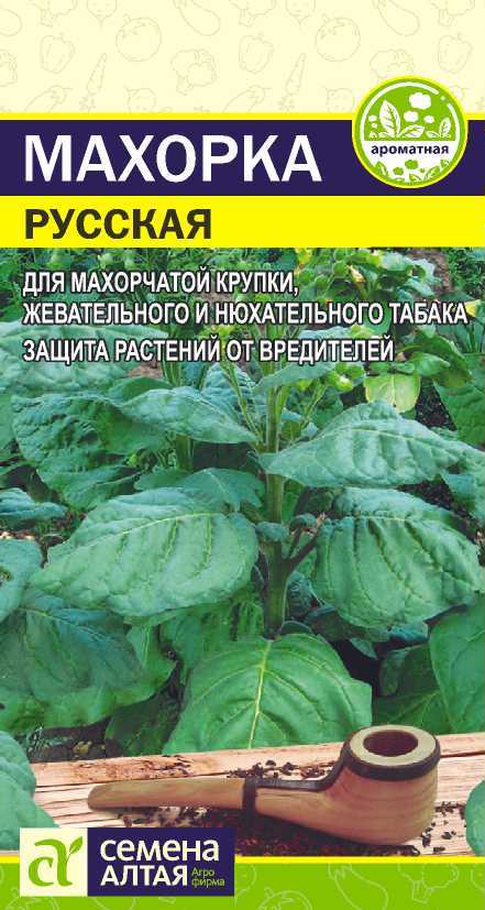 Махорка русская