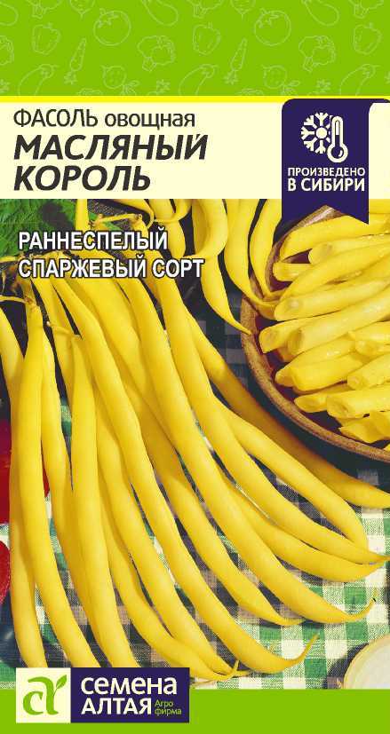 Маслянный король цп 2