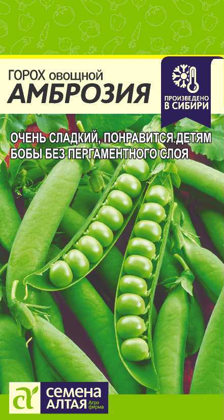 Амброзия цп