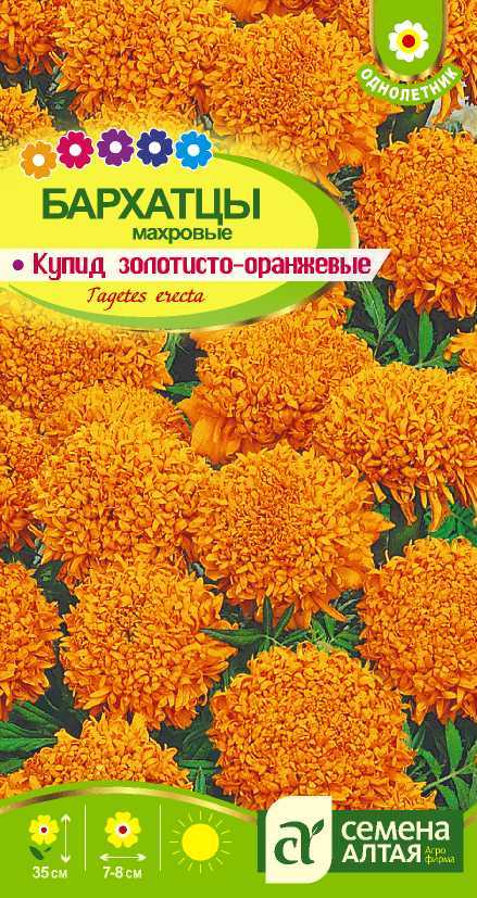 Купид золотисто-оранжевые цп
