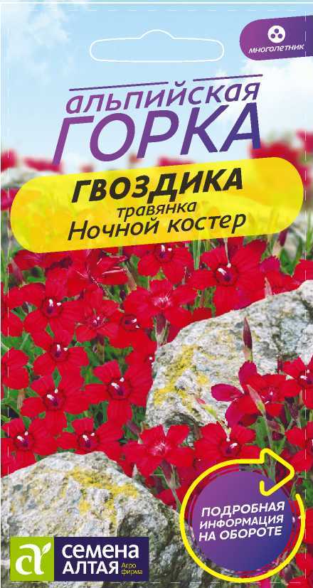 Гвоздика Ночной костер