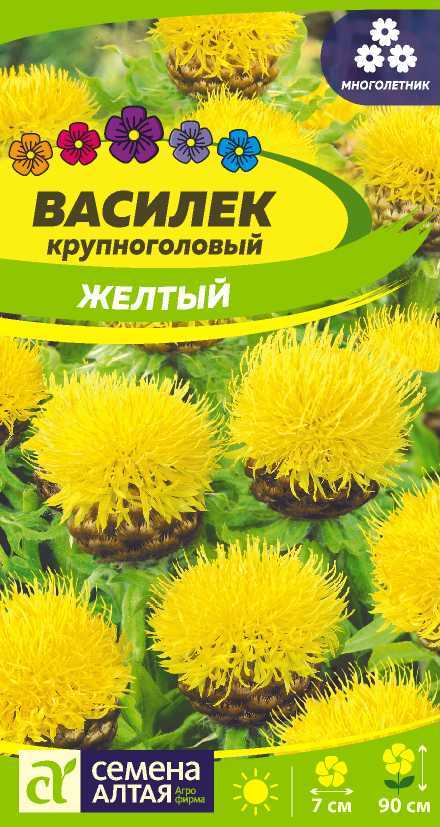 Василек желтый