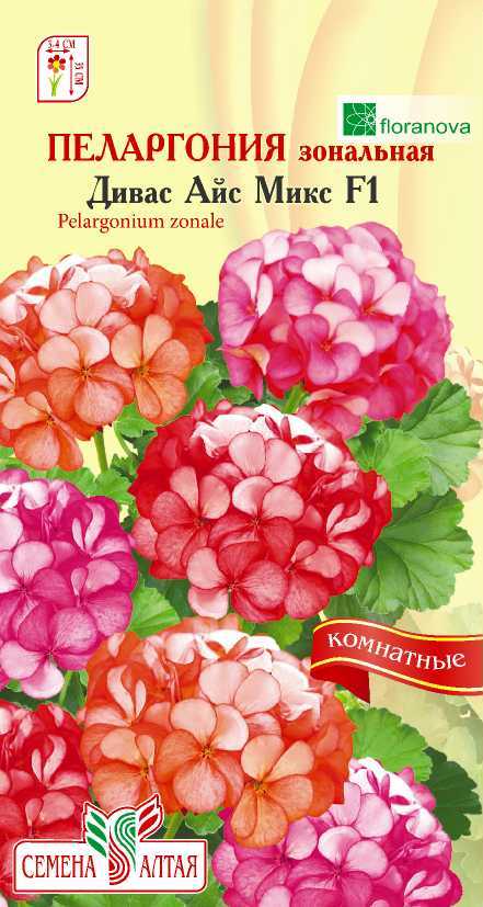 Пеларгония дивас айс микс цп
