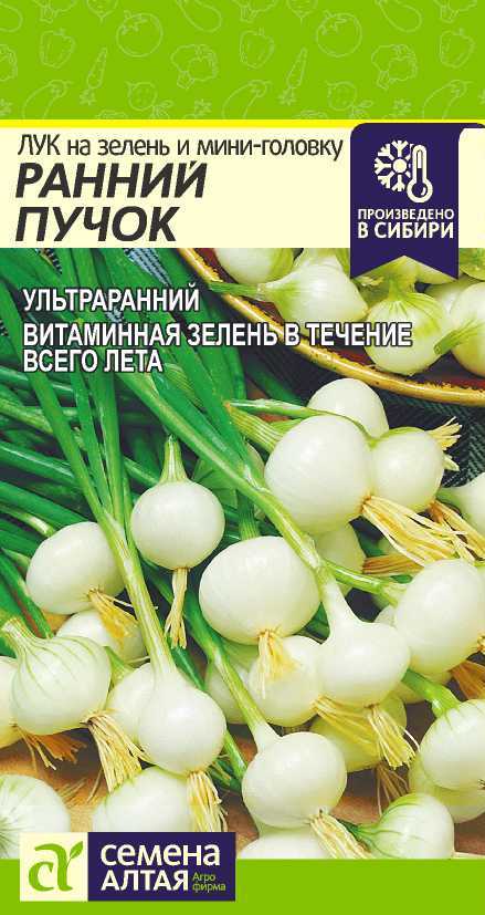 Ранний пучок