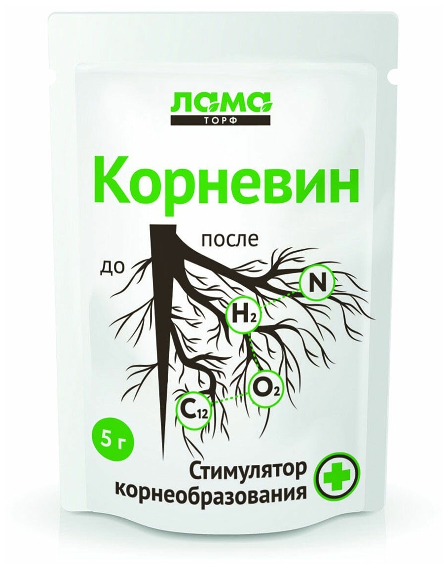 kornevin