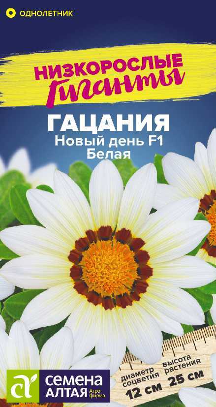 Гацания Новый день Белая