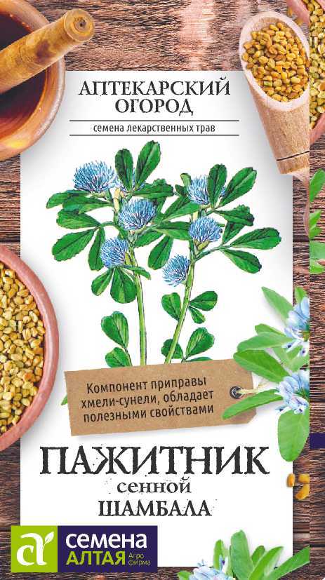 Пажитник