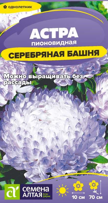 Астра Серебряная башня