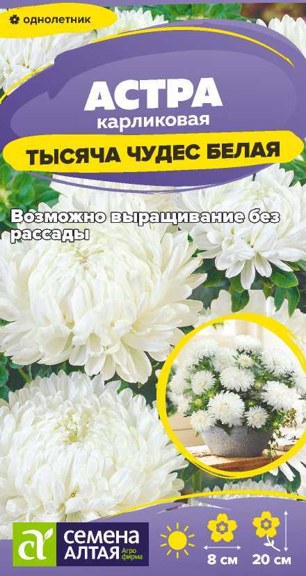 astra-tyisyacha-belaya