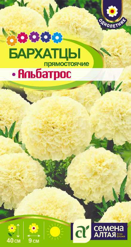 Альбатрос цп