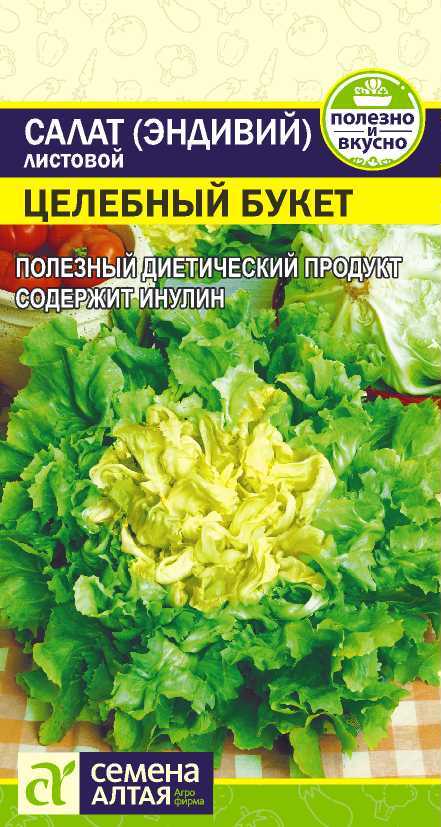 Салат эндивий Целебный букет