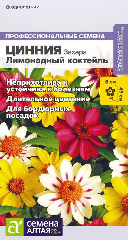 ciniya-limonadnyi-kokteil
