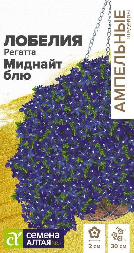 Лобелия Регатта Миднайт Блю