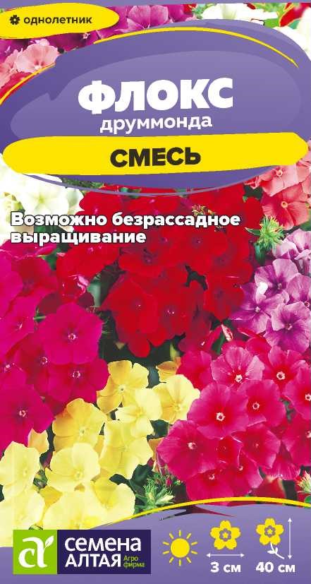 Флокс смесь друммонда