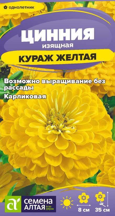 Цинния кураж желтая