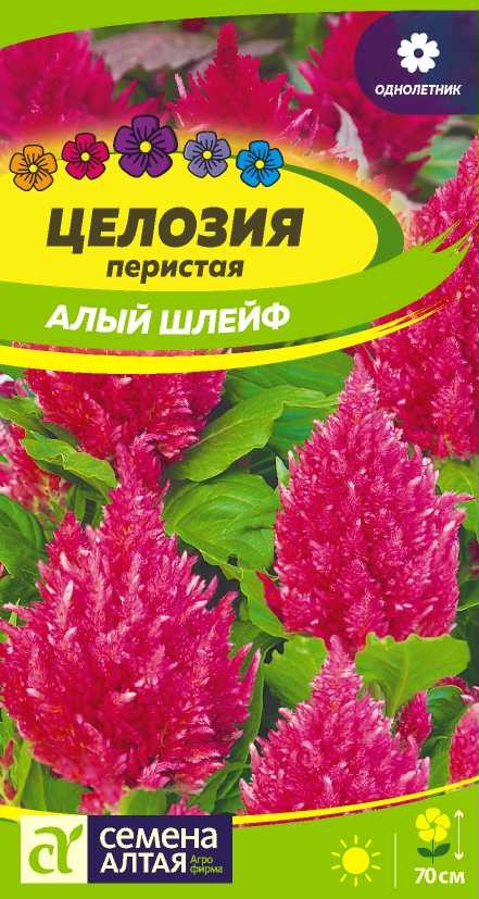 00-00015142