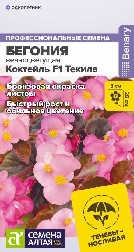 begoniya-tekila
