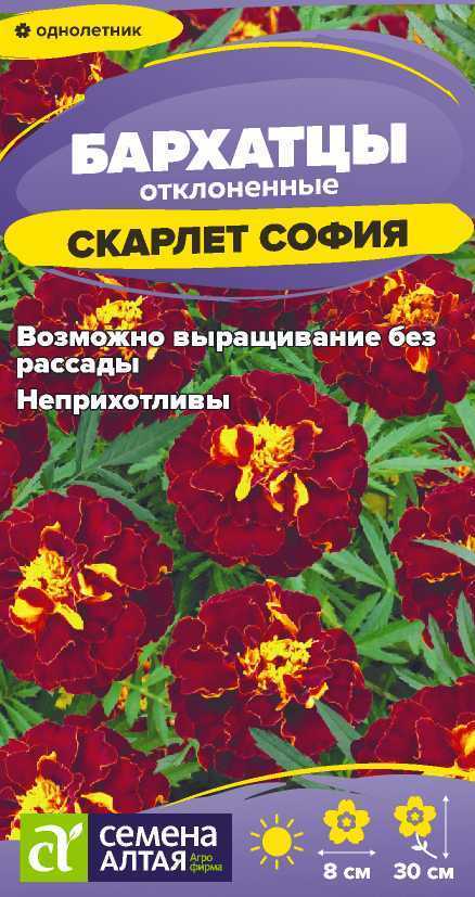 00-00003225