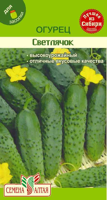 Светлячок