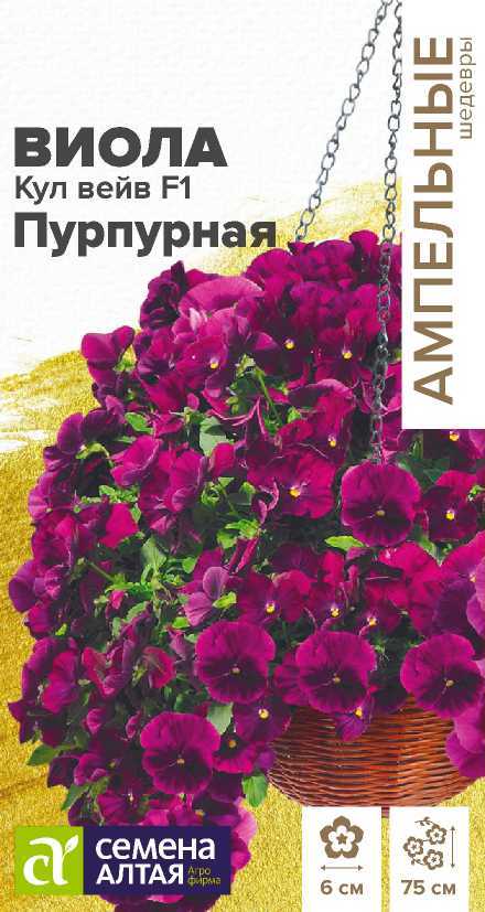 Виола кул вейв пурпурная
