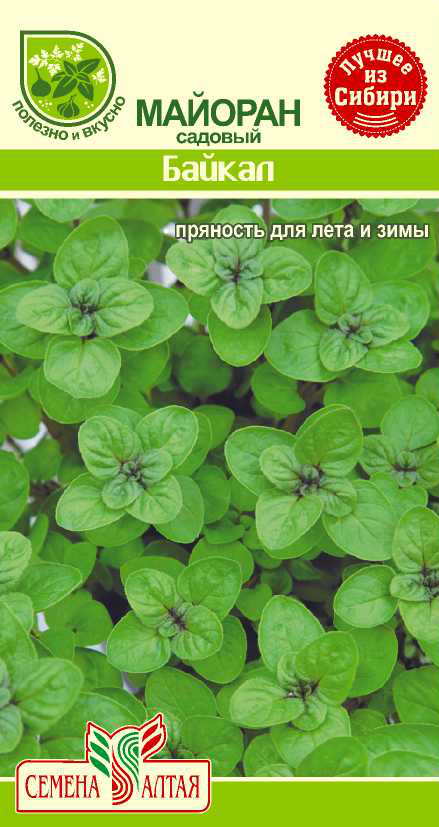 Майоран Байкал