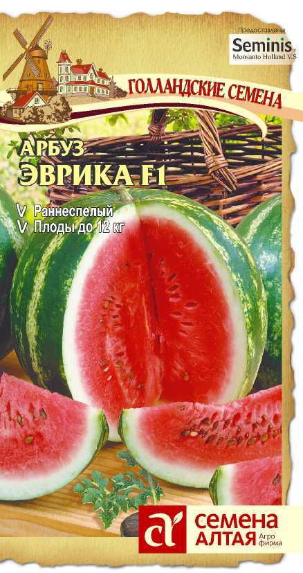 Эврика 2