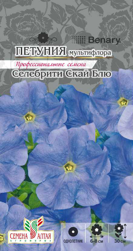Селебрити Скай Блю