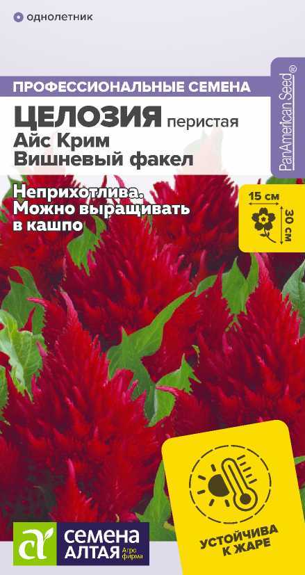 Целозия кимоно вишневый факел