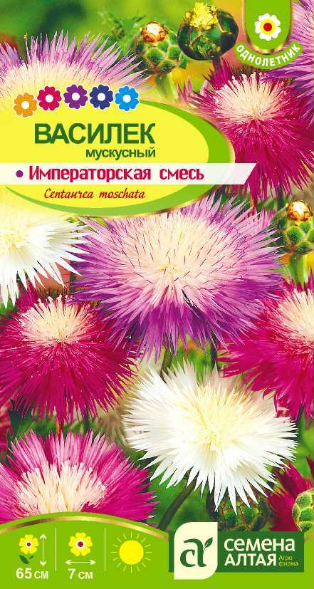 Василек Императорская смесь цп
