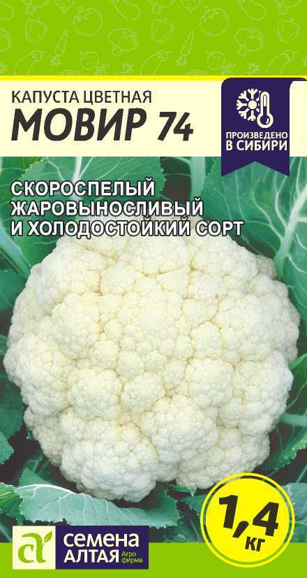 00010018769