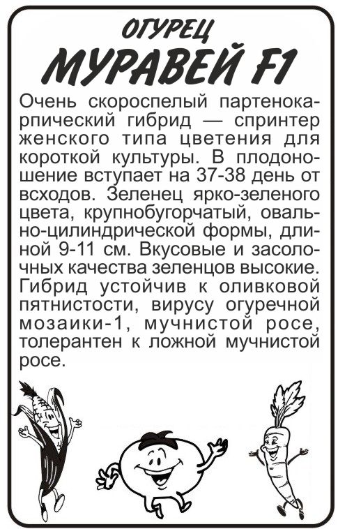 Муравей бп