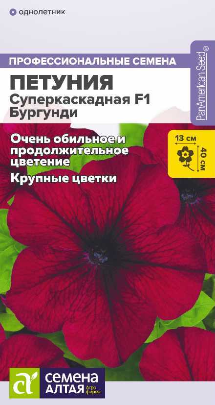 petuniya-superkaskadnaya-burgundi