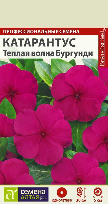 Теплая волна бургунди
