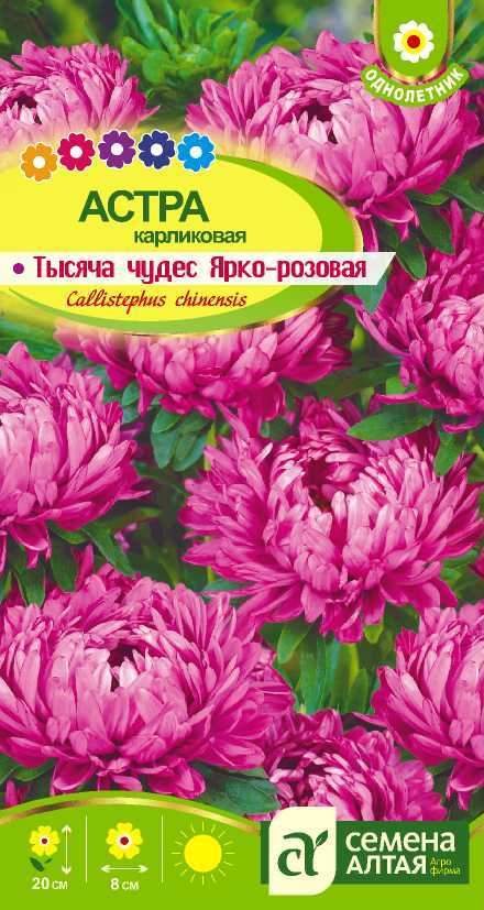 Тысяча чудес ярко-розовая цп