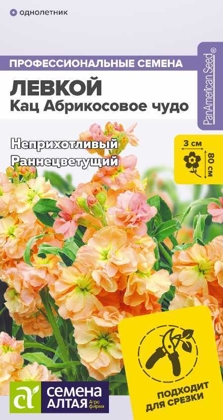 Левкой Кац абрикосовый