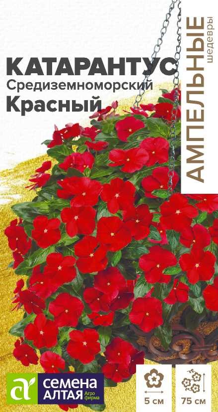 Катарантус средиземноморский красный