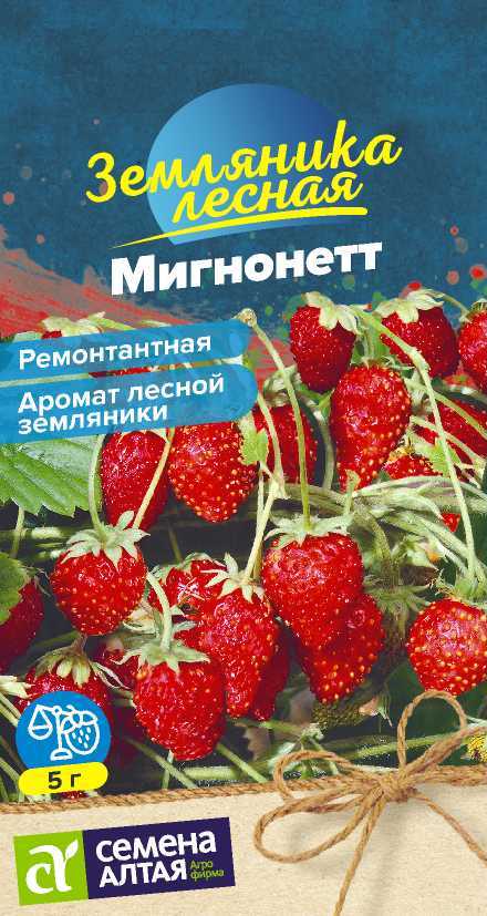 Земляника Мигнонетт