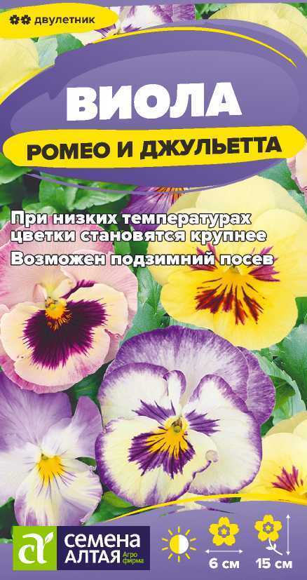 Виола Ромео и Джульетта