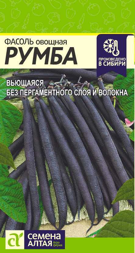 Румба