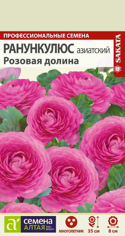 Ранункулюс розовая долина