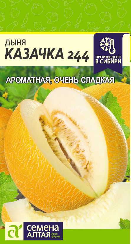 Казачка цп 2