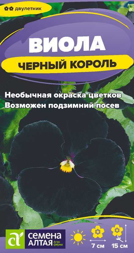 Виола черный король