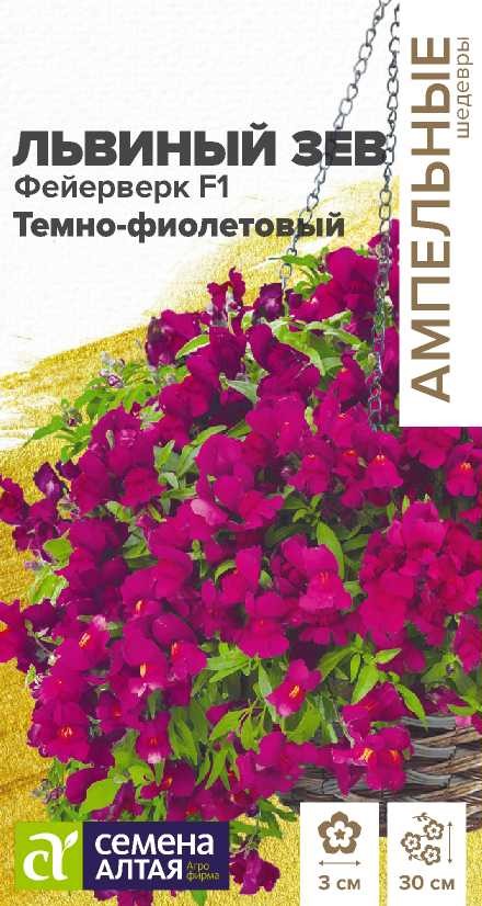 Львинный зев фейерверк темно-фиолетовый